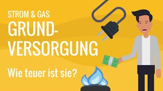 Grundversorgung Strom amp Gas – wie teuer ist sie und wie kann man sparen  cheapenergy24 [upl. by Yblehs]