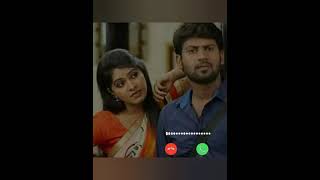 Saravanan Meenatchi title song vijay tv serial [upl. by Ardnuat940]