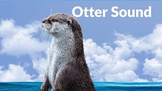 Otter Animal Sounds  Otters squeaking Sounds HD 4K Animals Sounds [upl. by Snej]