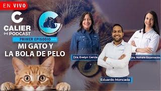 Mi Gato y la bola de pelo 🐾🐱🩺  EP1 Animales de Compañía  Calier Podcast [upl. by Aniakudo258]