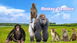 Monkey The Movie First Look [upl. by Sneed]