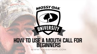 How to Use a Mouth Turkey Call for Beginners [upl. by Aplihs160]