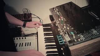 A jam on the Deckards Dream Hardware Yamaha CS80 clone 280121 [upl. by Werdma456]