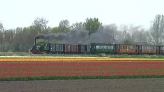 Stoomtrein  tram reis door de bollen velden Museumstoomtram Hoorn Medemblik [upl. by Ulda]