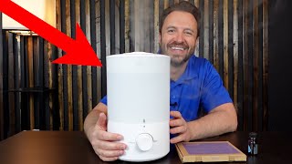 Levoit Dual 150 Humidifier and Diffuser Review and Overview [upl. by Kaylil12]