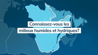 En faiton assez pour nos milieux humides et hydriques [upl. by Ahsoek]