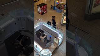 Stoneridge mall jewelry heist in PleasantonCA elgmuzikgrewp stoneridge mall comeup necklaces [upl. by Wenger]