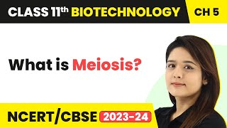 Meiosis  Cellular Processes  Class 11 Biotechnology Chapter 5  CBSE 202425 [upl. by Brittaney]