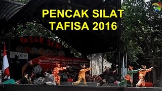 SETELAH MELIHAT VIDEO INI ANDA PASTI INGIN BELAJAR SILAT [upl. by Yla255]