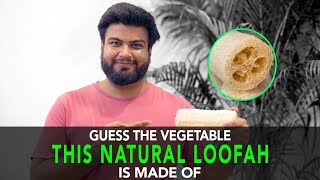 Guess The Vegetable This Natural Loofah Is Made Of  Anuj Ramatri  An EcoFreak [upl. by Ahsiugal]