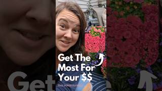 Get The Most Out of Your Fall Porch Plants falldecor fallflowers gardentips [upl. by Humble6]