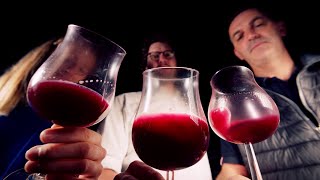 Preview WineMasters France Beaujolais S5E2 [upl. by Klein229]