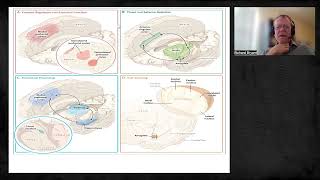 USU Amygdala Stress and PTSD Conference  Richard Bryant PhD [upl. by Llemej]