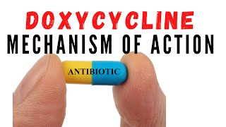 Doxycycline uses against acne and chlamydia  Mechanism of action [upl. by Yenroc]