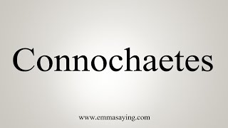 How To Say Connochaetes [upl. by Naxor517]