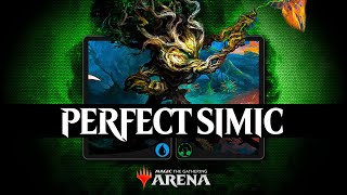 🥶🤢 MY PERFECT SIMIC  TOP 630 MYTHIC  MTG Arena  Standard  March of the Machine [upl. by Othello730]