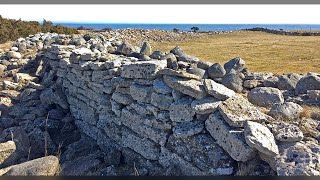 Swedish archaeologists Show 5th Century massacre in Sandby borg [upl. by Larentia]