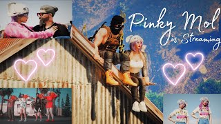 MrX Pinky Mol is Here🥰 gta5 zioncity roleplay zioncitylive zioncityrp roleplaying [upl. by Goody]