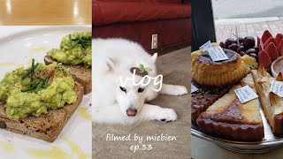 Vlog 遠足気分で念願の大型犬カフェへ☕🐾｜日比谷 Buvette🪑｜月島もんじゃ🥢｜銀座 AUX BACCHANALES🍴｜Rose Bakery🥑｜新大久保 BAM BI COFFEE🌰 [upl. by Nauqe855]