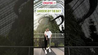 Gardens by the bay Singapore shorts travel [upl. by Laleb]