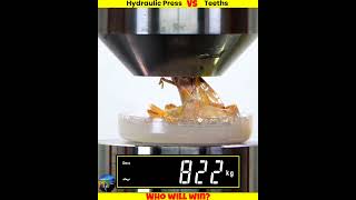 Different Teeth Vs Hydraulic Press shorts whatif uniqueexperiment मजेदारविडिओ [upl. by Crisey]