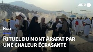 Hajj marée de fidèles au mont Arafat sous une chaleur extrême  AFP [upl. by Darwen]