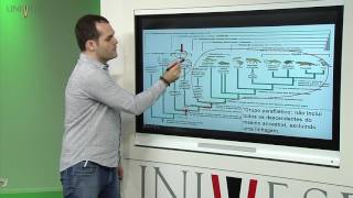 Zoologia dos Vertebrados – Aula 03 – Princípios de taxonomia e filogenia dos animais [upl. by Detta]