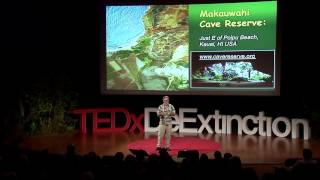 Rewilding Ecological Surrogacy and Now Deextinction David Burney at TEDxDeExtinction [upl. by Reina844]