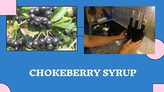 How to Make Chokeberry Syrup ¦¦ Aronia Berry Syrup [upl. by Sabsay828]