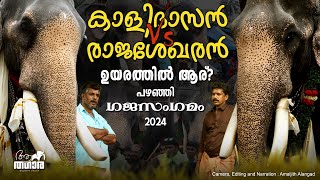 Chirakkal Kalidasan Vs Cherpulassery Rajasekharan  Pazhanji Perunnal 2024  Kerala Elephants [upl. by Ahsinut480]