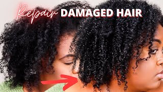 NEVER BUY APHOGEE AGAIN  NEW Affordable Protein Treatment to Repair Damaged TYPE 4 quotNatural Hairquot [upl. by Airemat]