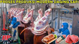 PROSES PRODUKSI MODERN DAGING SAPI DI PABRIK DANISH CROWN DAN TURKEY [upl. by Moreville]