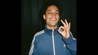 Loyle Carner Type Beat Born And Raised [upl. by Relyks]