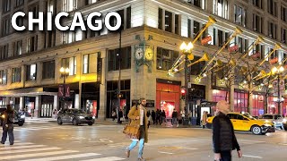 Chicago Macys ✨Early Holiday Walk Walkthrough on Friday  November 8 2024  4K Video [upl. by Jana]