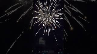 Maverick 245 shot Display fireworks miami demo pyro [upl. by Alek531]