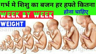 Weight of baby during pregnancy week by week [upl. by Huberto]