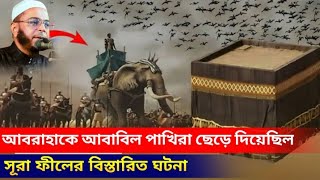 আসহাবে ফীলের ঘটনা Mufti NasirUddin । মুফতি নাসির উদ্দিন আনসারী  bangla Waz [upl. by Nuahsyar]