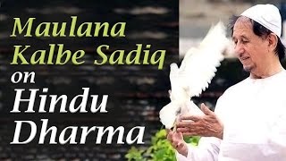 Maulana Kalbe Sadiq on Hindu Dharma at Art of Living Bangalore Ashram [upl. by Inness]