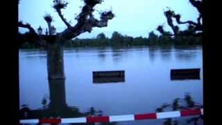 Flooding in Walluf amp Eltville am Rhein [upl. by Anaiv428]