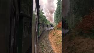 Die FICHTELBERGBAHN im Erzgebirge [upl. by Arabrab695]