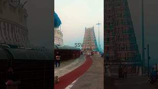 Kanda Sashti Festival 51124 Tiruttani Murugan temple 🙏 arupadaiveedu youtubeshorts [upl. by Enetsirhc]