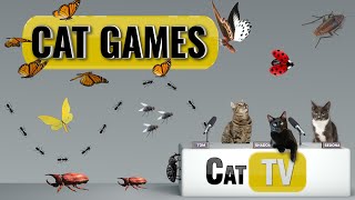 CAT Games  Ultimate Cat TV Bugs and Butterflies Compilation Vol 4 🪲 🐞🦋🦗🐜  Videos For Cats to Watch [upl. by Caassi149]