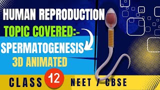 Human Reproduction  Class 12th  Biology ncert neet cbse [upl. by Oruasi71]