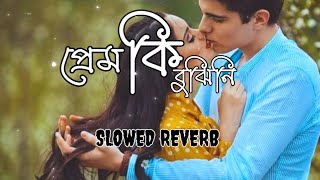 প্ৰেম কি বুঝিনি  Prem Ki Bujhini  Aaj Ki Holo Re Amar  Slowed Reverb  DEPRESSION [upl. by Maillliw]