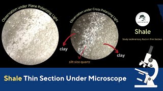 Shale Thin Section under Microscope with optical Properties of Rocks [upl. by Mmada618]