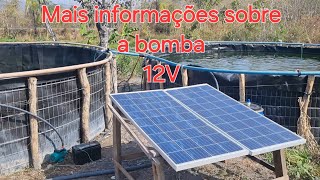 BOMBA PERIFERICA SOLAR 12V bomba12v bombasolar agricultura agricultura painelsolarfotovoltaico [upl. by Dewie]