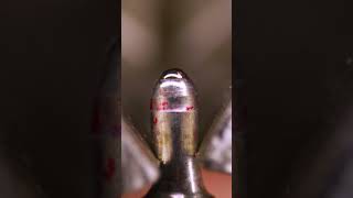 Ballpoint pen asmr macroart macro closeup closeup [upl. by Manville]