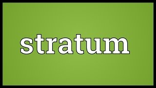 Stratum Meaning [upl. by Laurie]