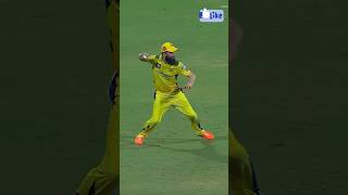 Moeen Alis Beautiful Run Out🔥🔥🔥cricket ipl csk [upl. by Chavez]