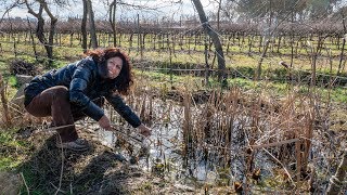 MANUTENZIONE E PULIZIA DELLO STAGNO 💧 [upl. by Juana]